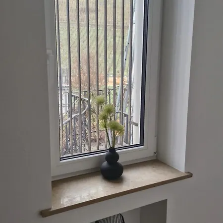 Historische Mit Drachenfels-blick