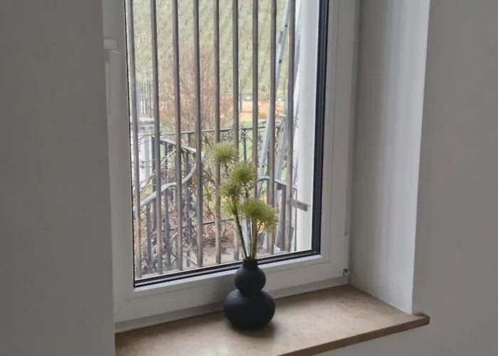 Historische Mit Drachenfels-blick