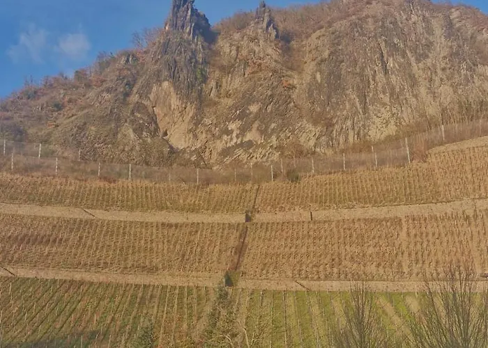 Historische Mit Drachenfels-blick Appartement